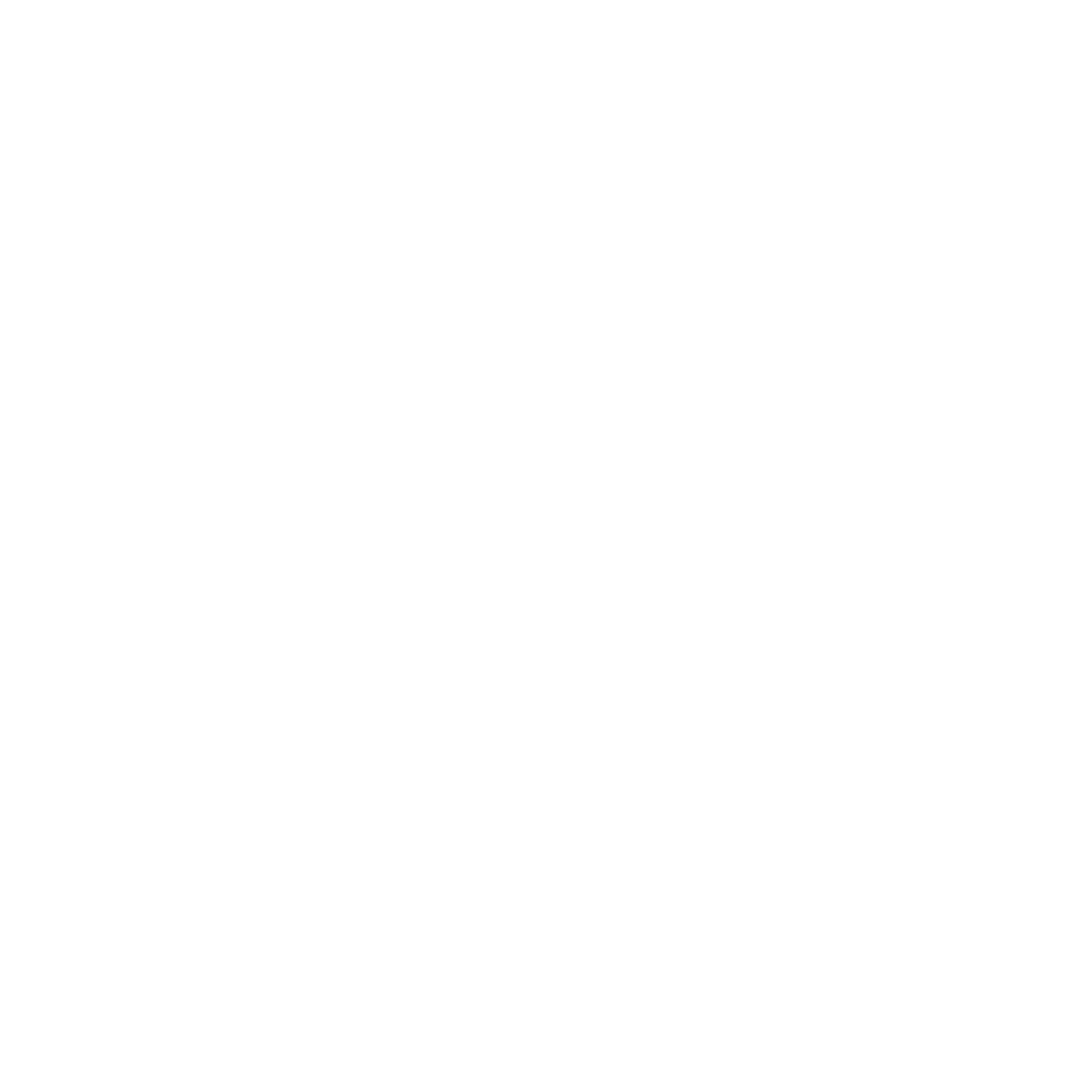 Nitro1000
